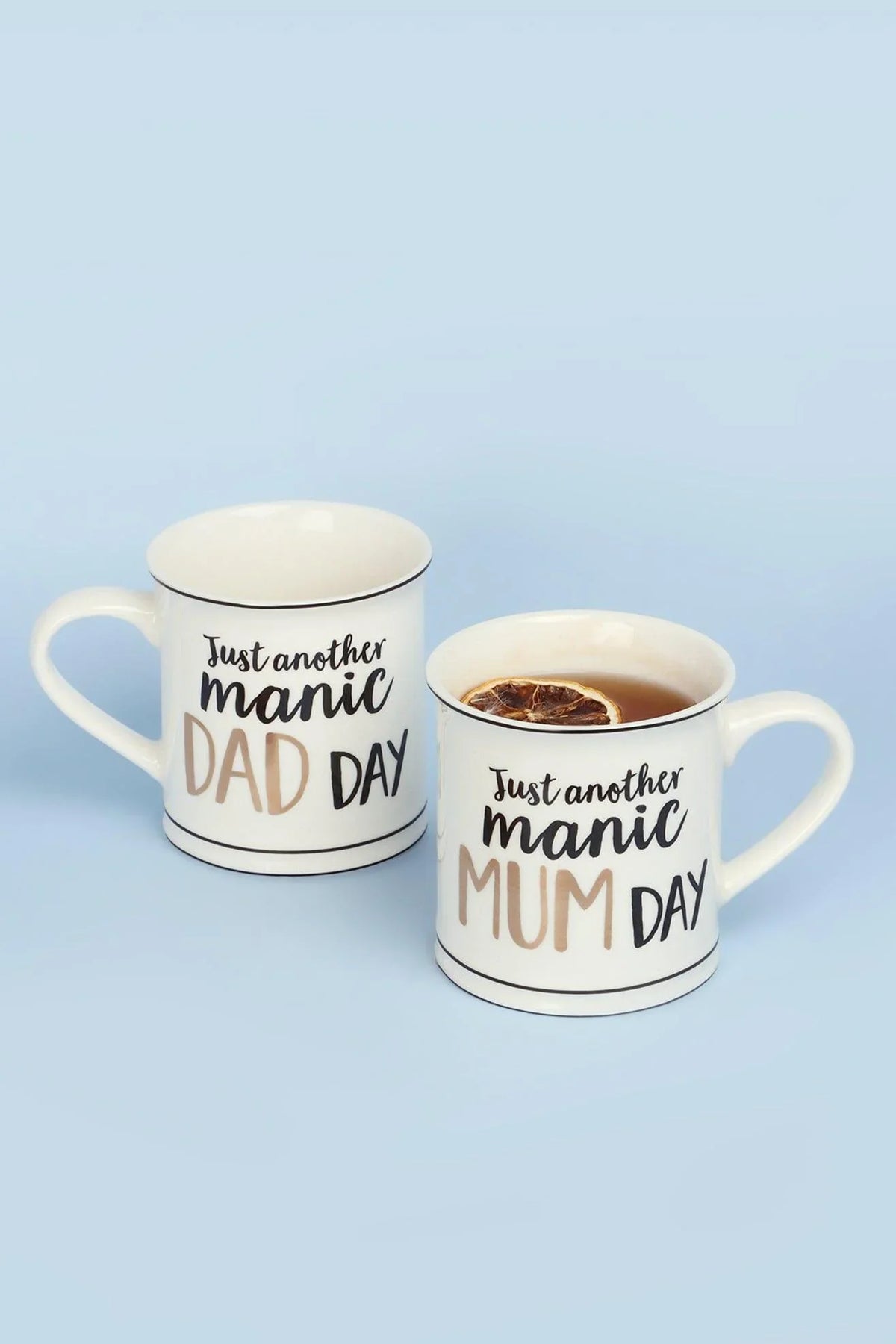 Parent Life Just Another Manic Day Funny Coffee Mug — G Decor