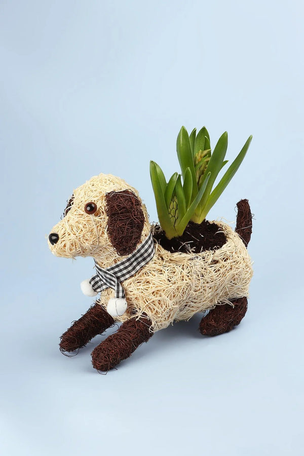 Handgewebter Hunde-Pflanztopf aus Naturfasern