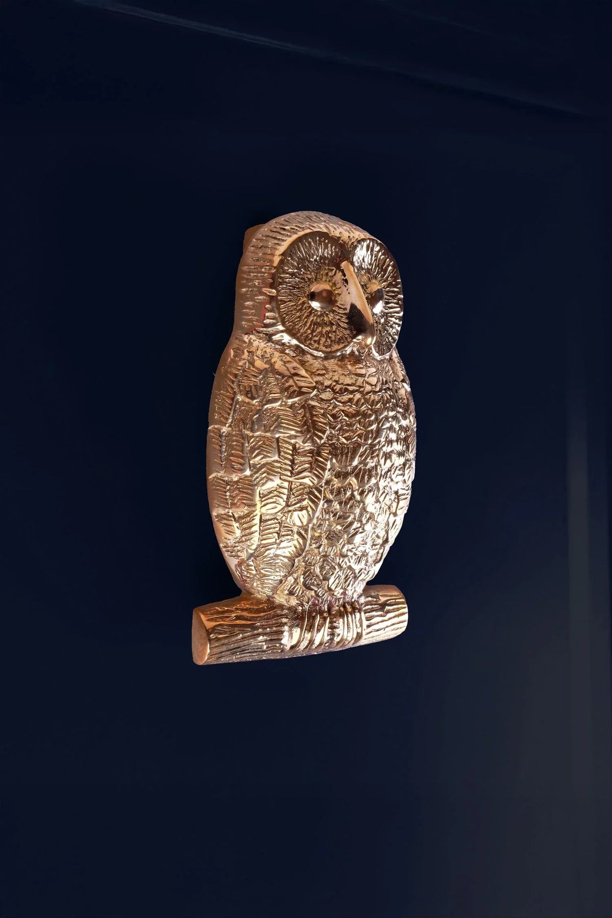 Owl Polished Brass Door Knocker — G Decor