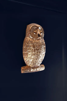 Heurtoir de porte hibou en laiton poli