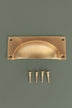 Bevelled plate cup pull in aged brass