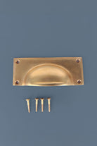 Rounded plate cup pull in aged brass