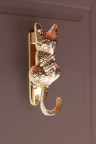 Polished brass cat door knocker fitted to a dark front door, the cat seen from behind with its tail curled at the bottom