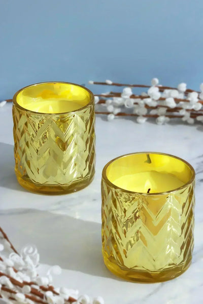 Mira Candle Co. Lime Basil and Citrus Soy Wax Pair in Gold Glass