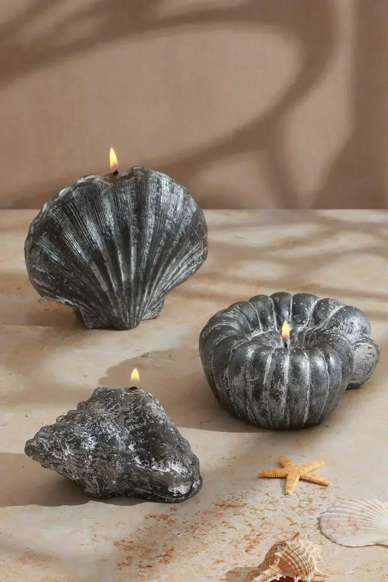 Ocean Tides Coastal Shell Scented Candle in Grey