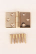 Backflap hinge in polished brass