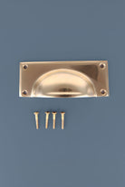 Rounded plate cup pull in polished brass
