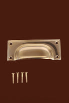 Square plate cup pull in polished brass