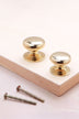 Victorian cabinet knob in polished brass