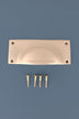 Rounded plate cup pull in satin brass