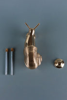 Brass snail door knocker on a blue-grey background with its two threaded fixing bolts and round strike button