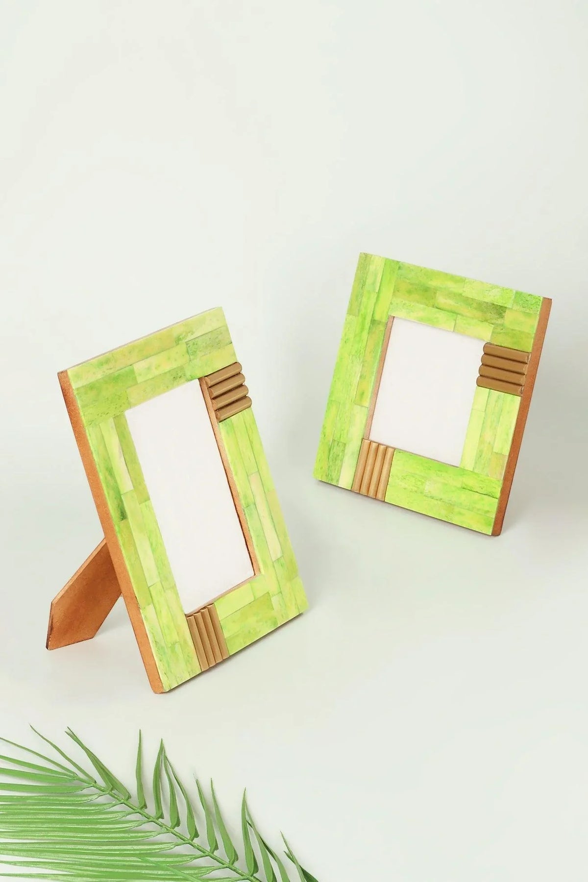 Colour Splash Bone and Brass Photo Frame — G Decor